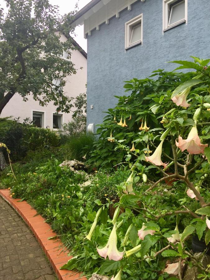 NiederdorfeldenBlaues Haus公寓 外观 照片