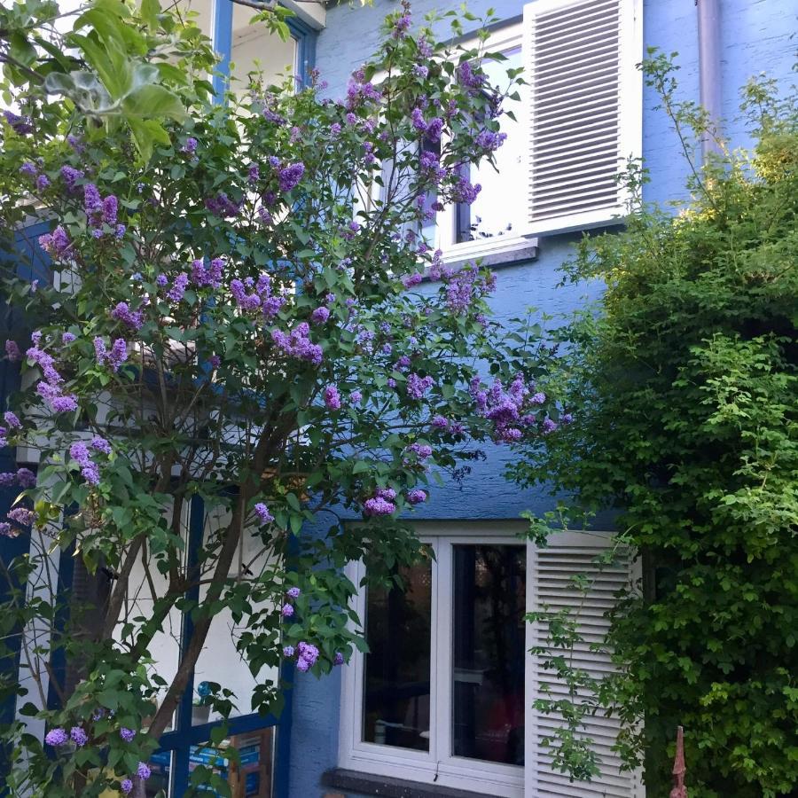 NiederdorfeldenBlaues Haus公寓 外观 照片