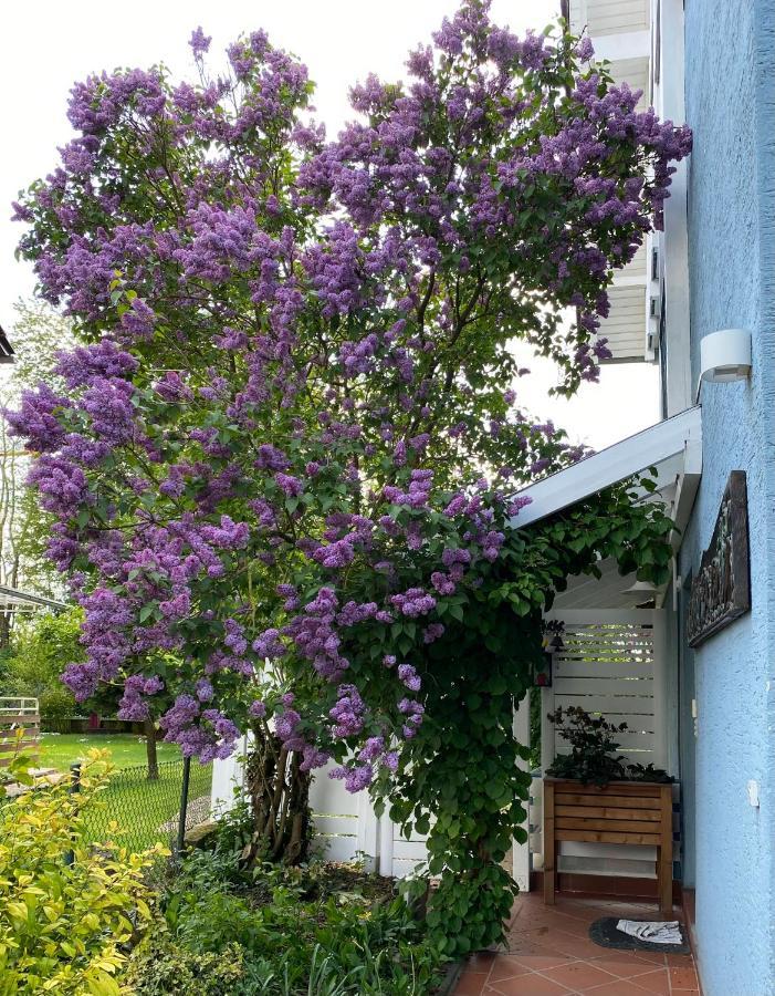 NiederdorfeldenBlaues Haus公寓 外观 照片